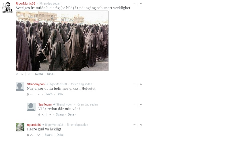 äckligt rasism